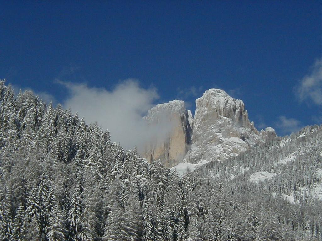 Apartamento Col Rodella Campitello di Fassa Habitación foto